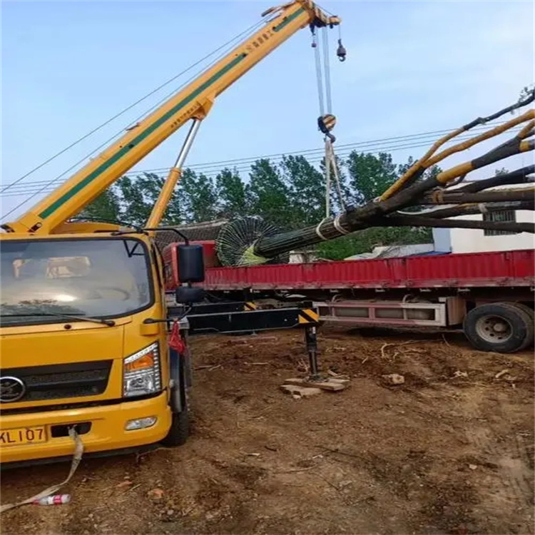 沙市100吨吊车租赁费用怎么算？3大关键因素+省钱技巧全解析